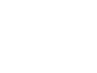 Pegasus Carpet